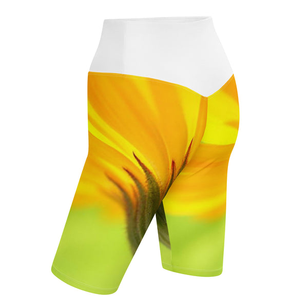 Biker Shorts